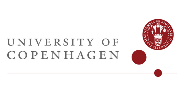 IT University of Copenhagen Scholarships IT University of Copenhagen Scholarships