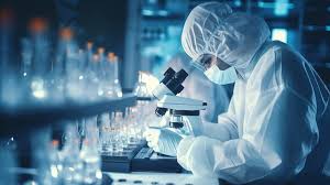 CNPq Scholarships (National Council for Scientific and Technological Development) 2025 CNPq Scholarships (National Council for Scientific and Technological Development) 2025