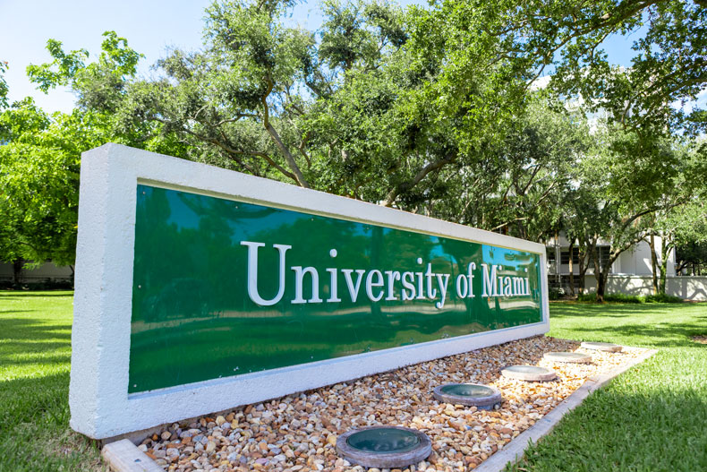 University of Miami Stamps Scholarship 2025-2026 USA University of Miami Stamps Scholarship 2025-2026 USA
