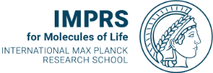 Indian Max Planck Research School PhD Scholarship 2025-2026