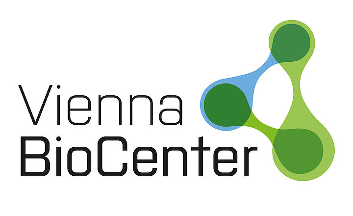 Vienna Indian Postdoctoral Program 2025-2026 (fully funded)