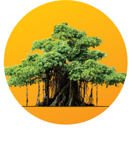 GSFC University logo
